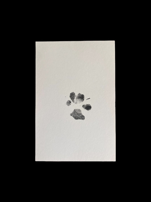 Peggy Aka Dogpool Signed (Pawtograph Paw Print) 6x4 card